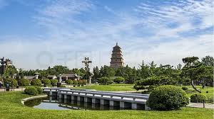 2026美加墨世界杯官网 天长城市绿化养护管理标准
